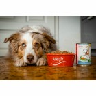 Dog Wet pet food Wrong Bunny (Falscher Hase) 400g 6 Piece -3- Anifit