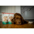 Dog Wet pet food Bland diet (Dog) 50g 1 Piece -4- Anifit